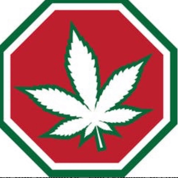 HEMP LEAF ANKLE SOCKS 🌟 - Picture 5 of 5